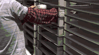 这才是品牌的力量！左右开弓，保质保量！